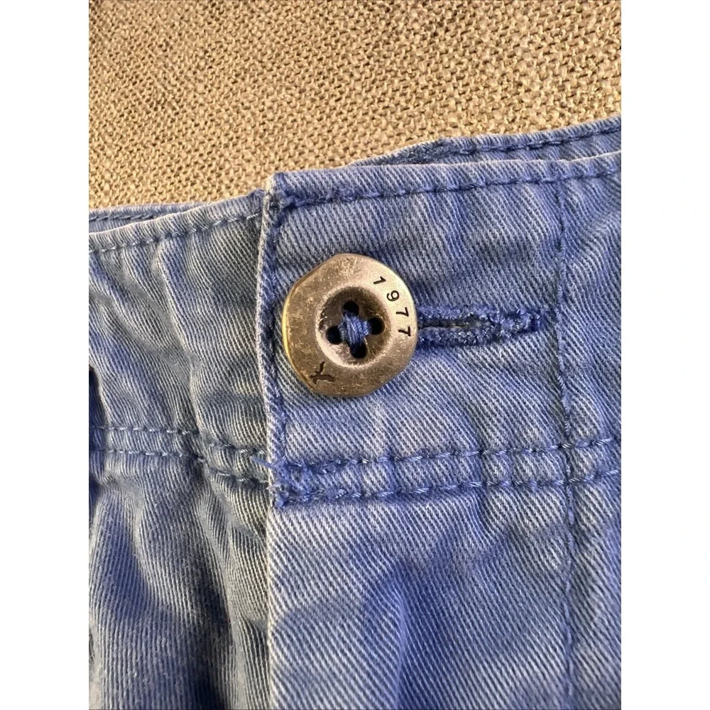 American Eagle Outfitters Longboard Shorts Mens Size 31 Flat Front Blue Y2K